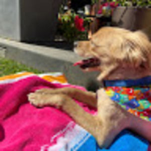 Meet your Posher, Madelyn